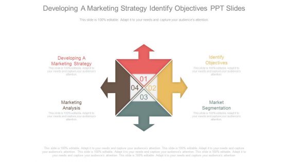 Developing A Marketing Strategy Identify Objectives Ppt Slides