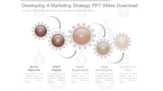 Developing A Marketing Strategy Ppt Slides Download