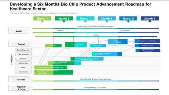 Developing A Six Months Bio Chip Product Advancement Roadmap For Healthcare Sector Infographics