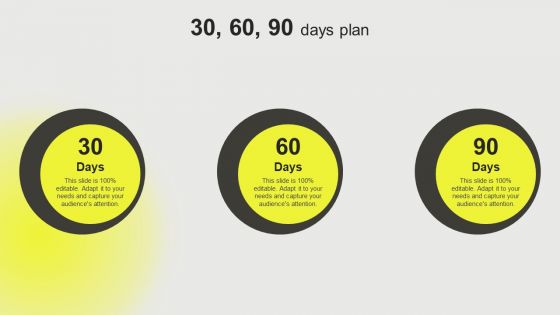 Developing A Successful Business Communication Plan 30 60 90 Days Plan Icons PDF