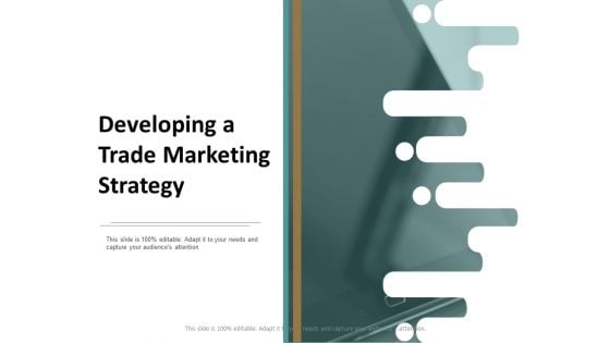 Developing A Trade Marketing Strategy Ppt Powerpoint Presentation Show Tips