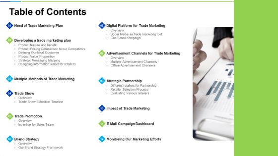 Developing And Controlling B2b Marketing Plan Table Of Contents Themes PDF