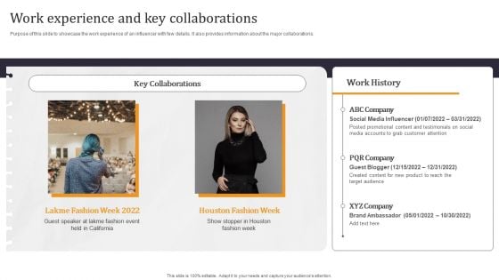 Developing Appealing Persona Work Experience And Key Collaborations Portrait PDF Developing Appealing Persona Work Experience And Key Collaborations Portrait PDF