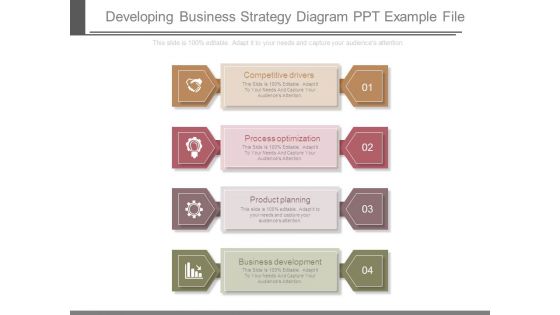 Developing Business Strategy Diagram Ppt Example File