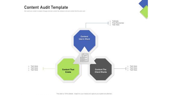Developing Content Mapping Strategy Content Audit Template Ppt Outline Pictures PDF