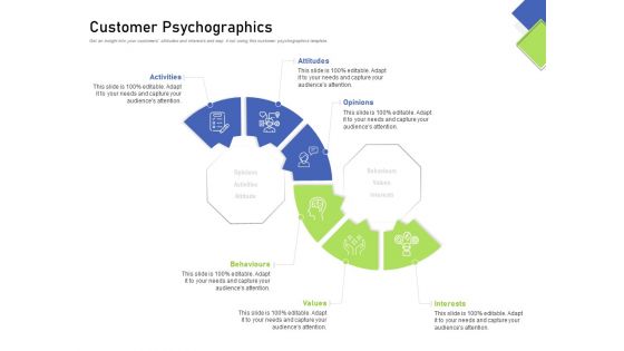 Developing Content Mapping Strategy Customer Psychographics Ppt Styles Display PDF