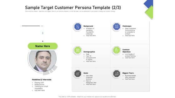 Developing Content Mapping Strategy Sample Target Customer Persona Template Demographics Ppt Gallery Outfit PDF