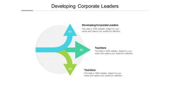 Developing Corporate Leaders Ppt PowerPoint Presentation Portfolio Ideas Cpb