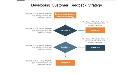 Developing Customer Feedback Strategy Ppt PowerPoint Presentation Layouts Display Cpb Pdf