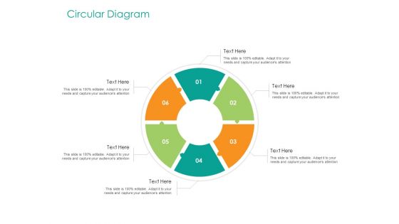 Developing Customer Service Strategy Circular Diagram Ppt Pictures Microsoft PDF