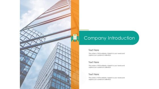 Developing Customer Service Strategy Company Introduction Ppt Professional Shapes PDF Developing Customer Service Strategy Company Introduction Ppt Professional Shapes PDF