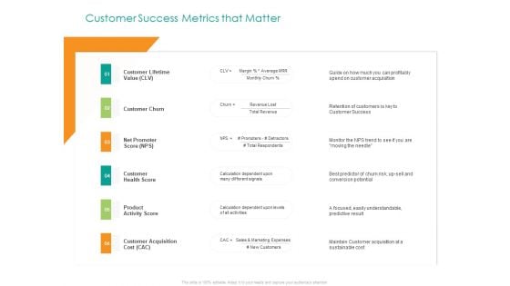 Developing Customer Service Strategy Customer Success Metrics That Matter Structure PDF