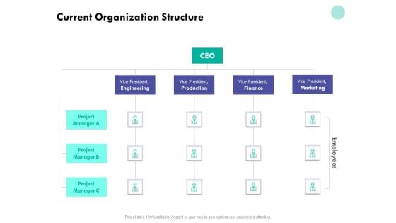 Developing Employee Competency Current Organization Structure Ppt Inspiration Infographics PDF