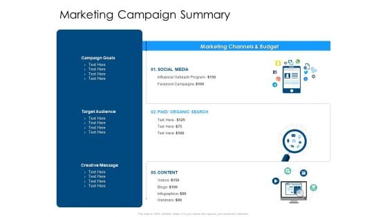 Developing Implementing Organization Marketing Promotional Strategies Marketing Campaign Summary Pictures PDF