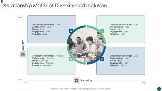 Developing Inclusive And Diversified Relationship Matrix Of Diversity And Inclusion Brochure PDF