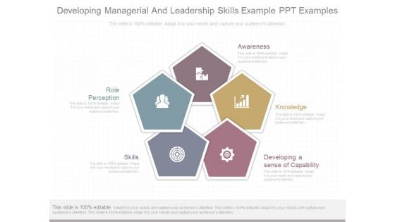 Developing Managerial And Leadership Skills Example Ppt Examples Developing Managerial And Leadership Skills Example Ppt Examples