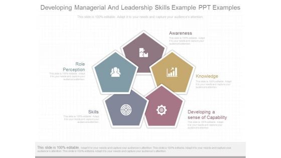 Developing Managerial And Leadership Skills Example Ppt Examples