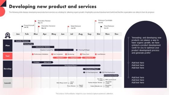 Developing New Product And Services Year Over Year Business Success Playbook Background PDF