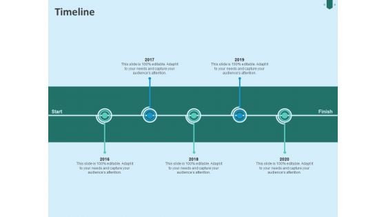 Developing Organization Partner Strategy Timeline Ppt Professional File Formats PDF