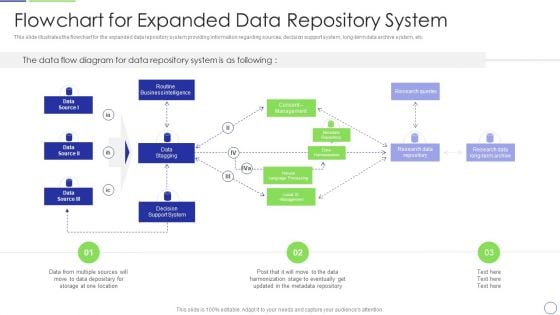 Developing Organization Primary Data Storage Action Plan Flowchart For Expanded Data Repository System Formats PDF