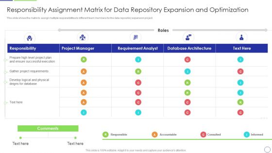 Developing Organization Primary Data Storage Action Plan Responsibility Assignment Matrix For Data Inspiration PDF