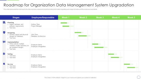 Developing Organization Primary Data Storage Action Plan Roadmap For Organization Data Management System Designs PDF