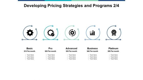 Developing Pricing Strategies And Programs Planning Ppt PowerPoint Presentation Infographics Portrait
