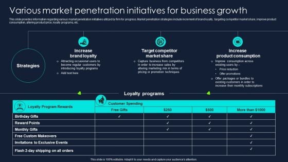 Developing Significant Business Various Market Penetration Initiatives For Business Professional PDF