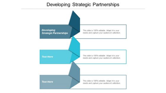 Developing Strategic Partnerships Ppt PowerPoint Presentation Model Slide Portrait Cpb