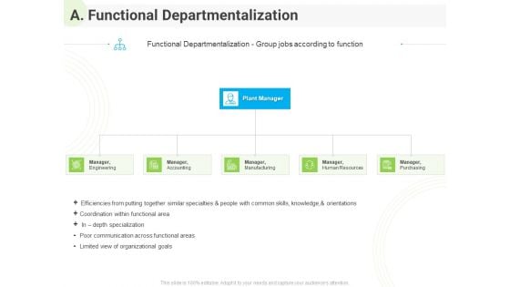Developing Work Force Management Plan Model A Functional Departmentalization Diagrams PDF Developing Work Force Management Plan Model A Functional Departmentalization Diagrams PDF