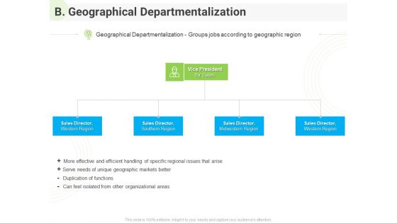 Developing Work Force Management Plan Model B Geographical Departmentalization Formats PDF