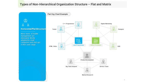 Developing Work Force Management Plan Model Types Of Non Hierarchical Organization Structure Flat Matrix Microsoft PDF