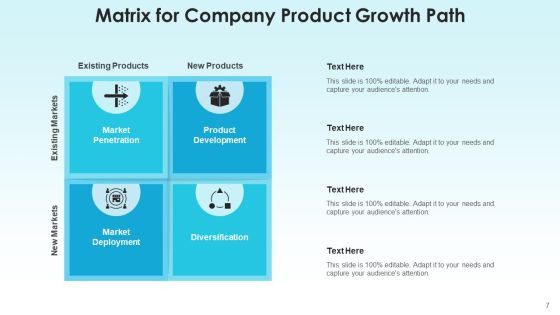 Development Path Strategy Revenue Ppt PowerPoint Presentation Complete Deck With Slides Slide07