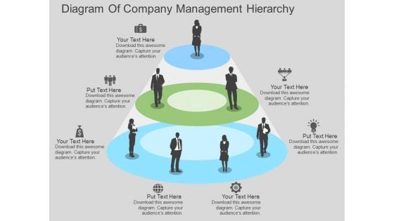 Diagram Of Company Management Hierarchy Powerpoint Template Diagram Of Company Management Hierarchy Powerpoint Template