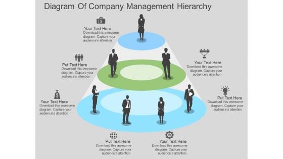 Diagram Of Company Management Hierarchy Powerpoint Template