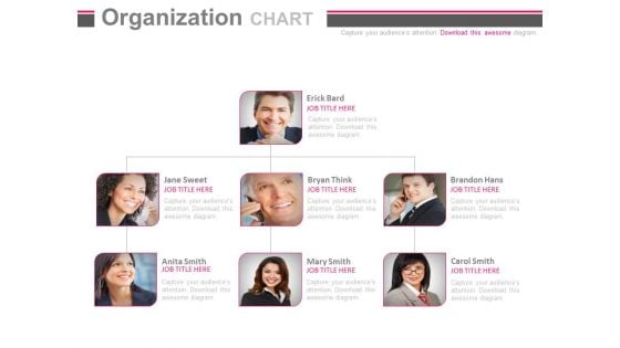 Diagram To Explain Human Hierarchies Powerpoint Slides