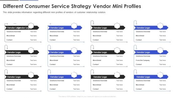 Different Consumer Service Strategy Vendor Mini Profiles Icons PDF