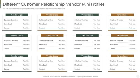 Different Customer Relationship Vendor Mini Profiles Strategies To Improve Customer Introduction PDF