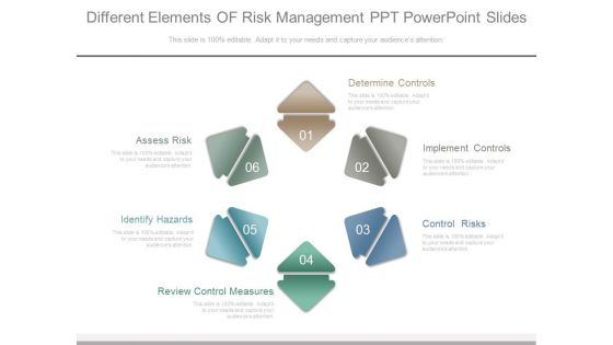 Different Elements Of Risk Management Ppt Powerpoint Slides