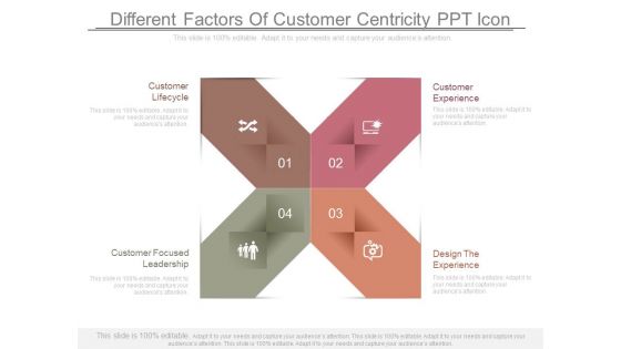 Different Factors Of Customer Centricity Ppt Icon