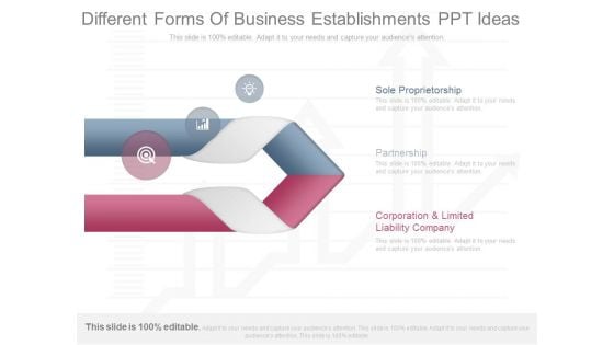 Different Forms Of Business Establishments Ppt Ideas