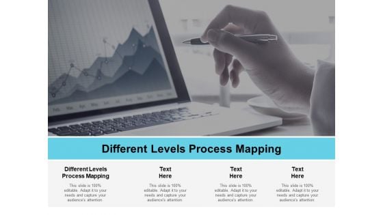 Different Levels Process Mapping Ppt PowerPoint Presentation Show Rules Cpb
