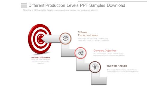 Different Production Levels Ppt Samples Download