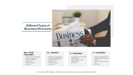 Different Types Of Business Structures Ppt PowerPoint Presentation Inspiration Example