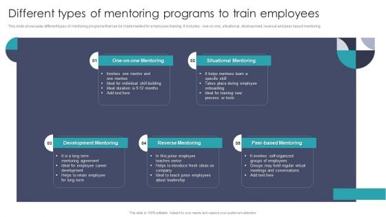 Different Types Of Mentoring Programs To Train Employees Structure PDF