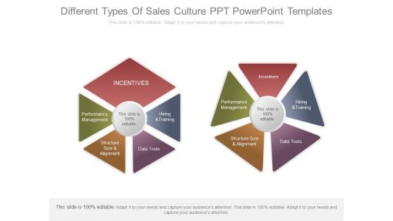 Different Types Of Sales Culture Ppt Powerpoint Templates