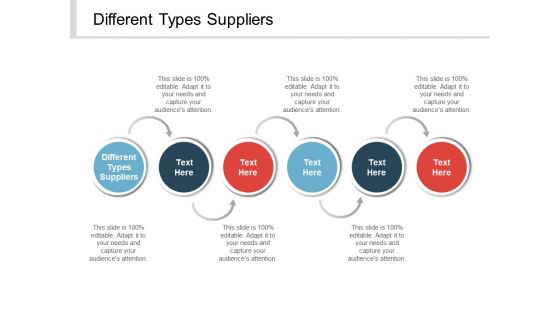 Different Types Suppliers Ppt PowerPoint Presentation Professional Deck Cpb