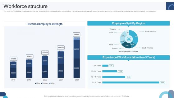 Digital Application Software Development Business Profile Workforce Structure Infographics PDF