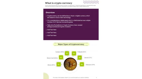 Digital Currency Investment Guide For Business Template
