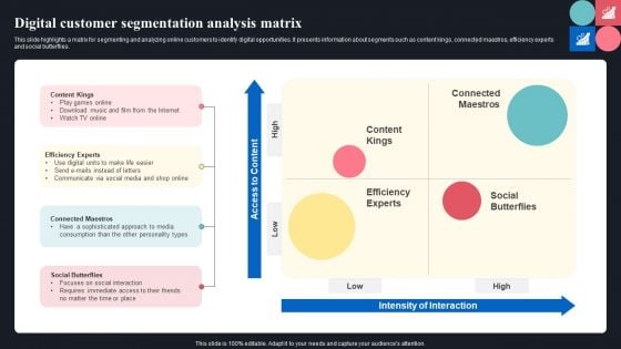 Digital Customer Segmentation Analysis Matrix Ppt Layouts Design Templates PDF